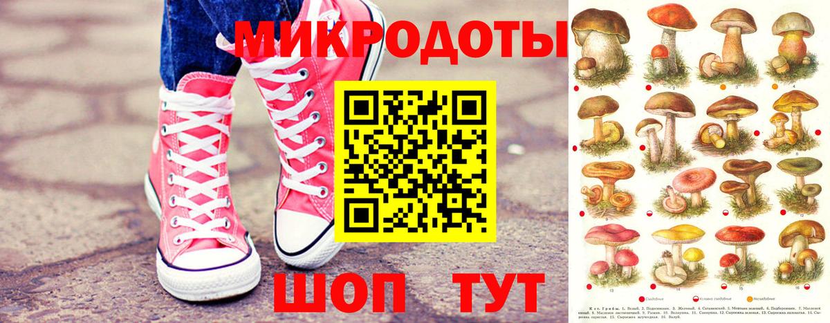 Галлюциногенные грибы Cubensis Белая Калитва